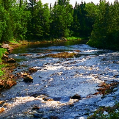 Photos natures