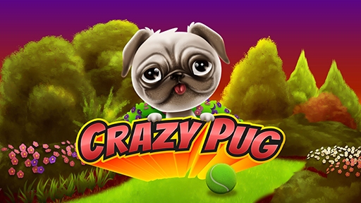 Play online casino Crazy Pug