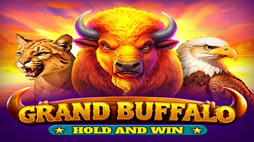 Play online Casino Grand Buffalo Hold and Win