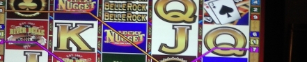 reddog1's casino header profile